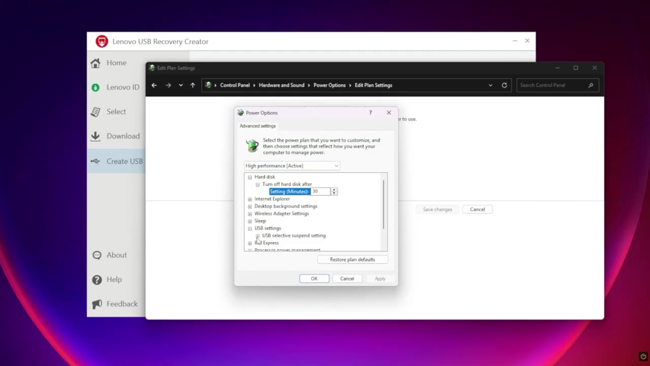 Windows Power Options with USB selective suspend disabled