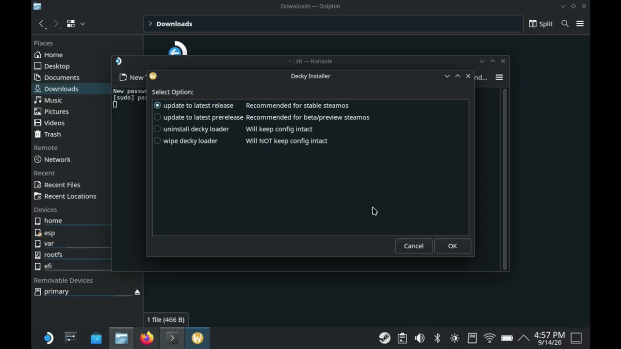 Decky Installer with update to latest prerelease selected